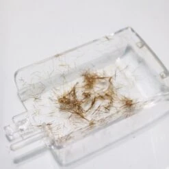 Split-Ender Pro2 Schwarz -Pflegemittelgeschäft 0860002112503 9 split ender beh lter