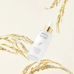 Thank You Farmer Rice Pure Cream In Ampoule 50 Ml -Pflegemittelgeschäft 12118395 3